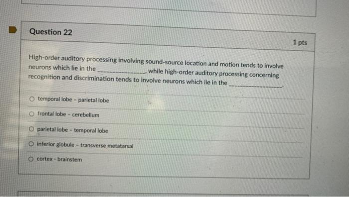 Section 17.4 sound and hearing answer key