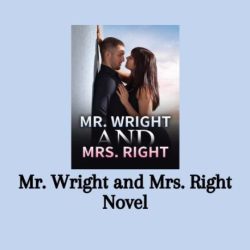 Mr wright and mrs right novel