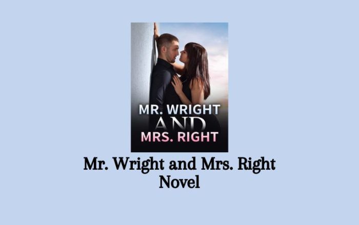 Mr wright and mrs right novel