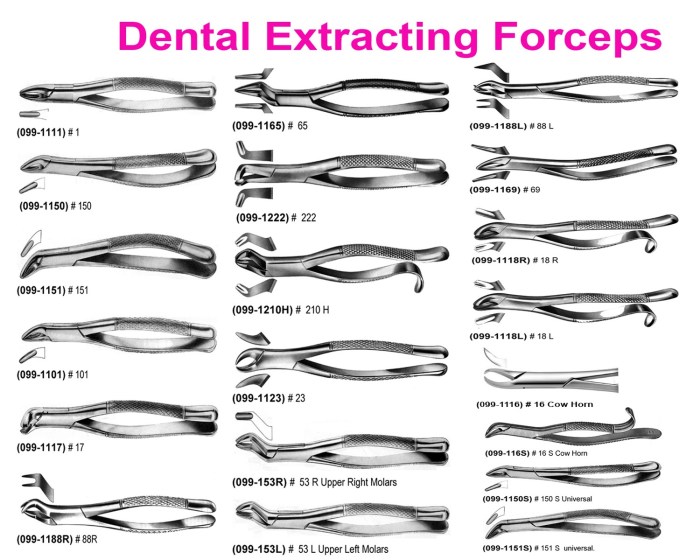 Dental forceps extraction instrument tooth