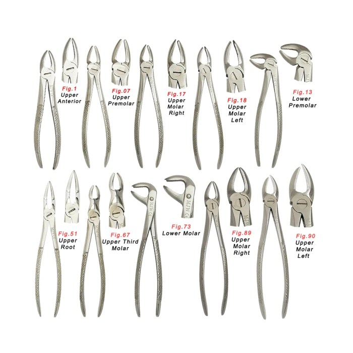 Dental forceps extraction english slideshare pattern pk tooth surgery instruments supplies teeth assistant implants choose board hygienist