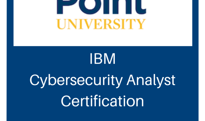 Cybersecurity analyst ibm