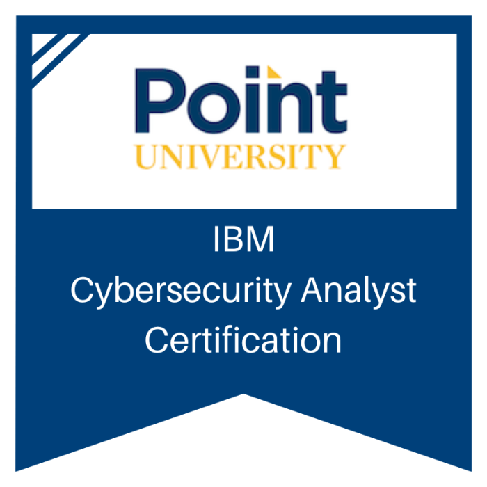 Cybersecurity analyst ibm