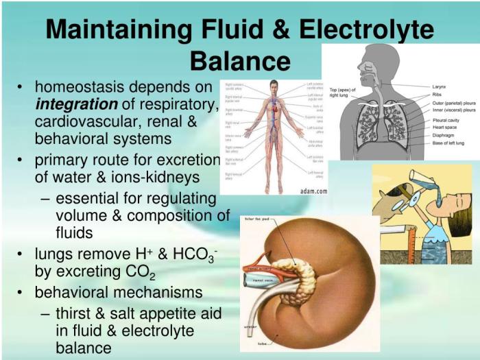 Fluid and electrolyte hesi case study