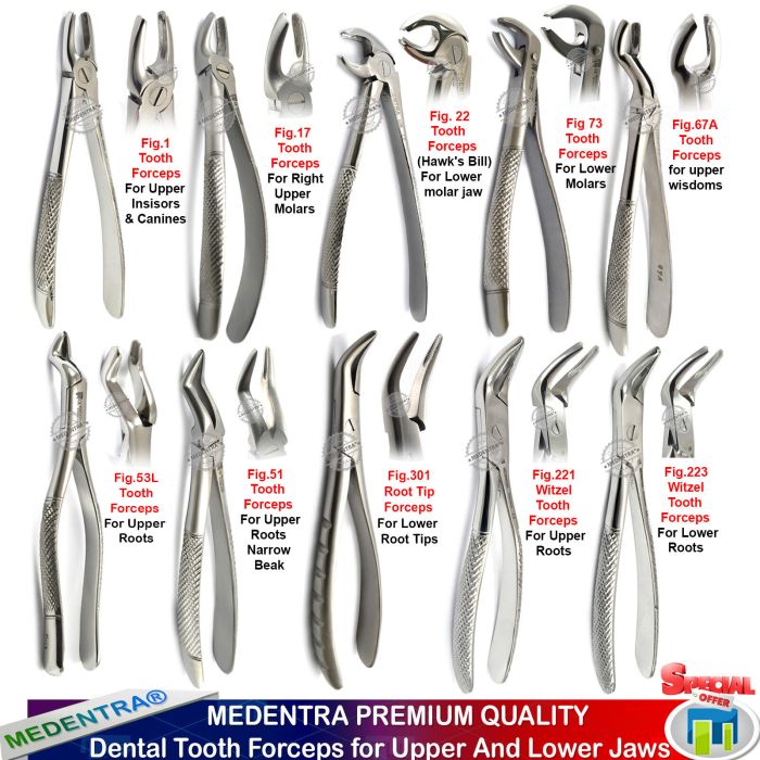 Dental extraction forceps names and pictures