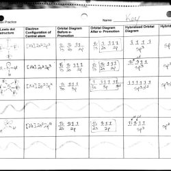 Molecular geometry pogil answer key