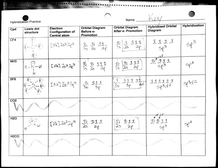 Molecular geometry pogil answer key