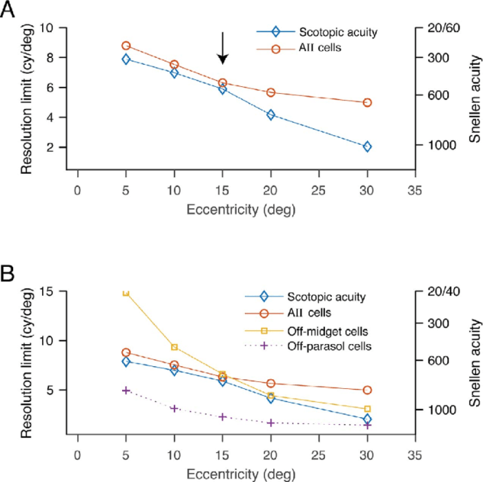 The greater the receptor density the greater the sensory acuity