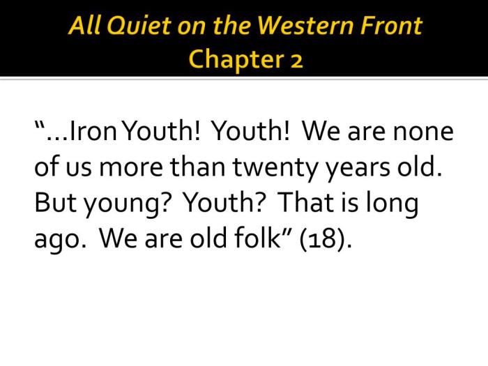 All quiet on the western front chapter summaries